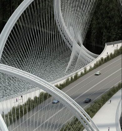 Un puente entre la naturaleza y los anillos olímpicos 9