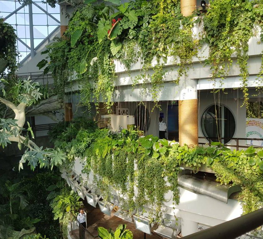 The Green Planet Dubai, un bioma dentro de un cilindro 10