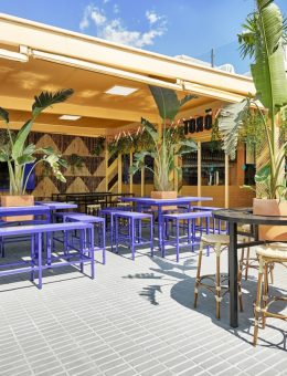 El remodelado Bar TORÖ en Ibiza 13