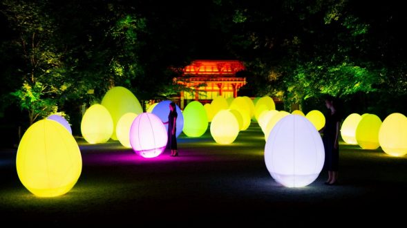 El bosque digitalizado del Santuario Shimogamo 8