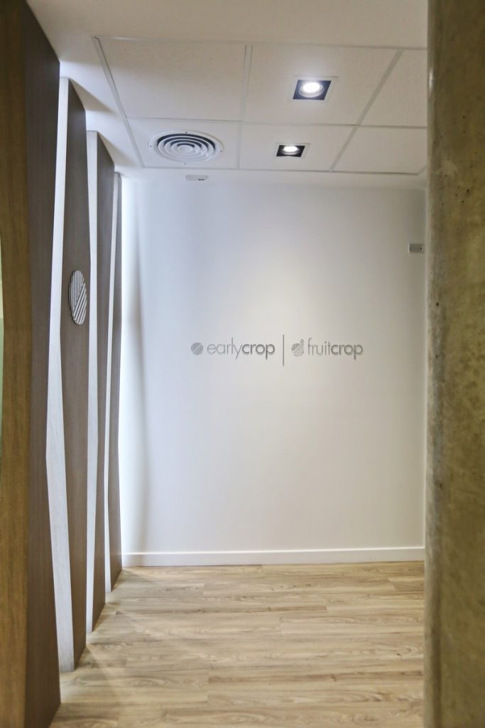 Horario de oficina: Early Crop, por Dolores Jaeggy 2