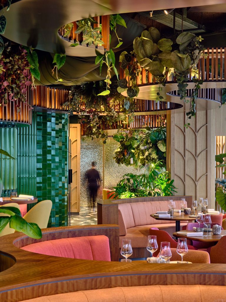 Selva Restaurante, un Oasis en el cielo 3